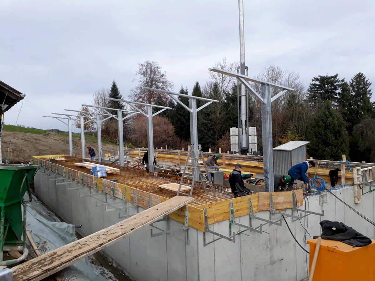 Stall Projekt